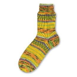 894 Positive Seelenbäume - Negative Menschenhäuser